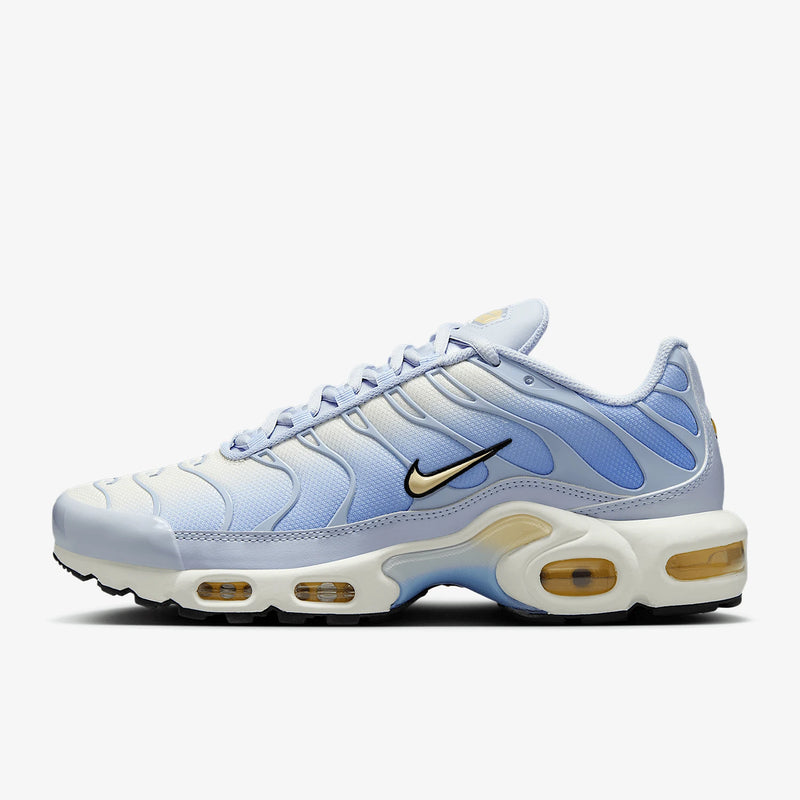 Air Max Plus TN Blue Authentic