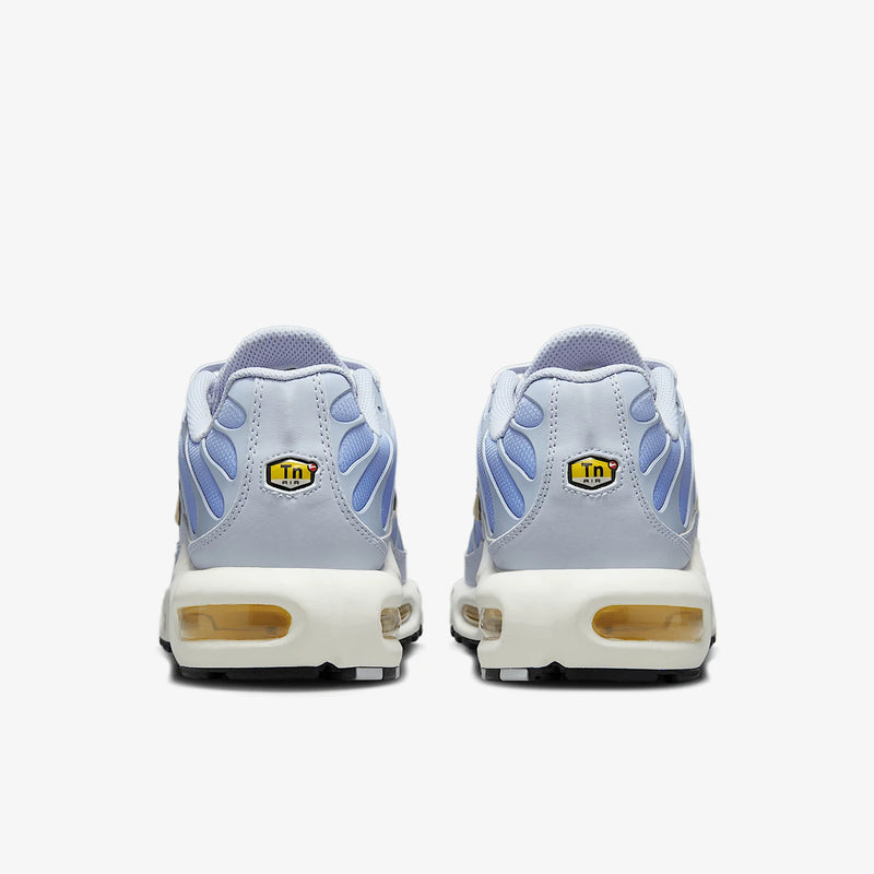 Air Max Plus TN Blue Authentic