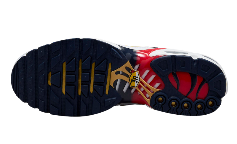 Air Max Plus TN Red Blue (PSG)