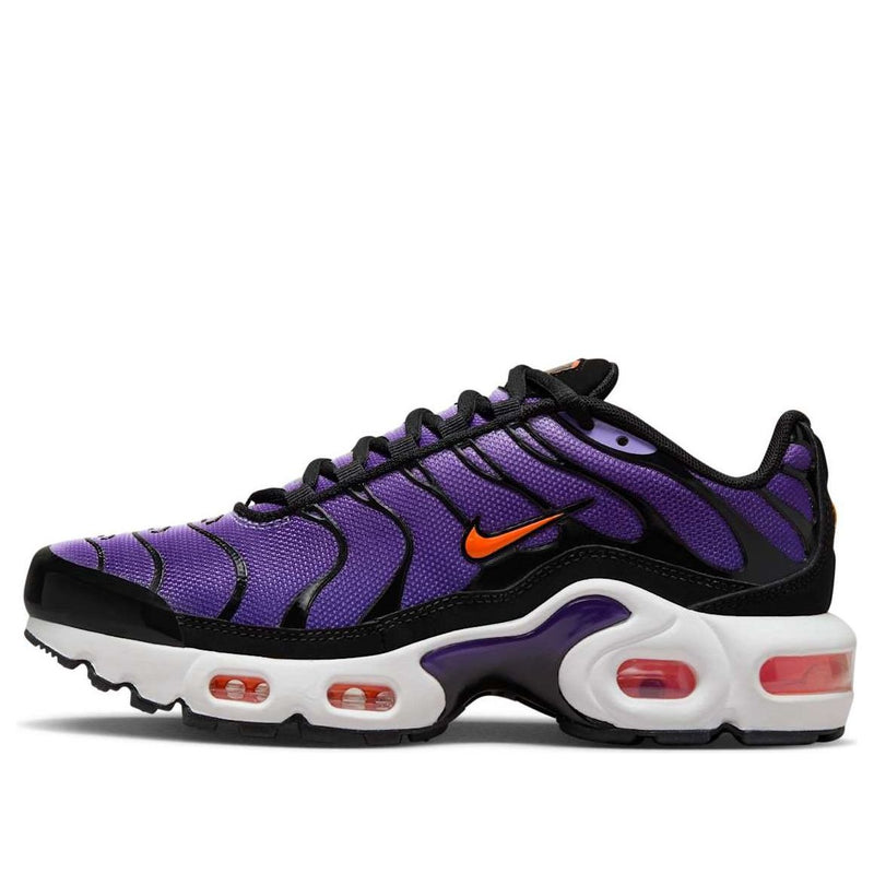 Air Max Plus TN Purple